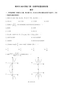 2025届湖南省郴州市高三上学期10月月考-数学试题+答案