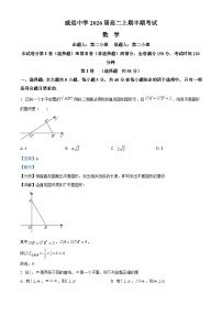 四川省内江市威远中学2024-2025学年高二上学期期中考试数学试卷（Word版附解析）