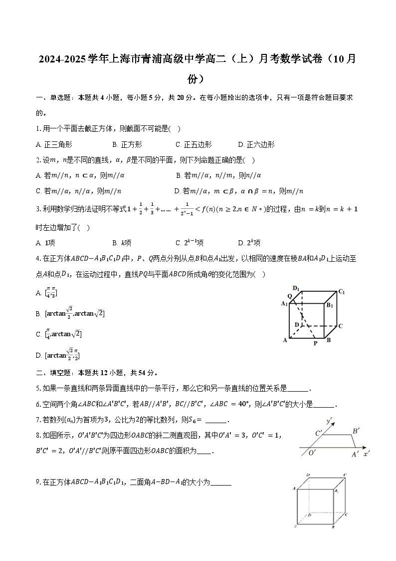 2024-2025学年上海市青浦高级中学高二（上）月考数学试卷（10月份）（含答案）