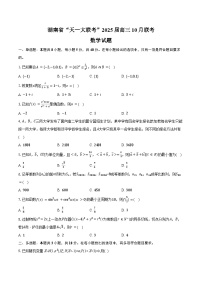 湖南省“天一大联考”2025届高三10月联考数学试题（含答案）