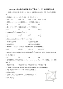 2024-2025学年陕西省渭南市富平县高三（上）摸底数学试卷（含答案）