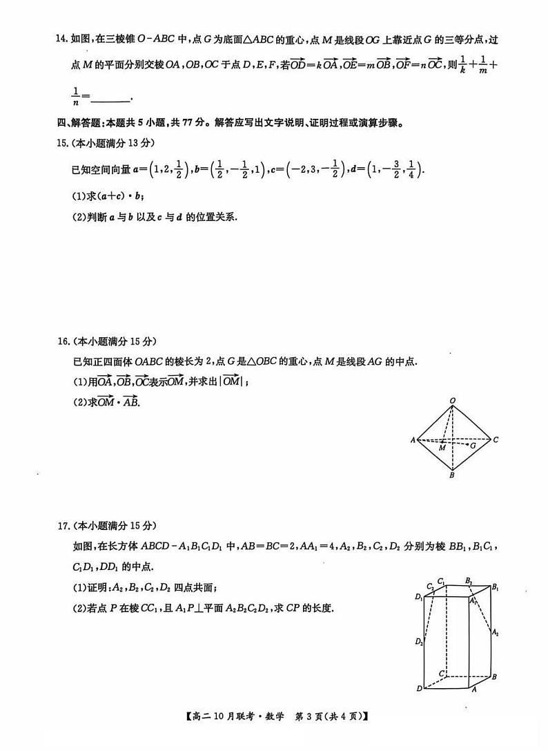 2025洛阳强基联盟高二上学期10月联考试题数学PDF版含解析第3页