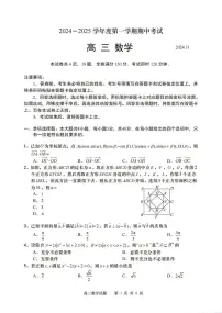 山东省青岛市2024—2025学年度第一学期期中考试高三数学试题及答案