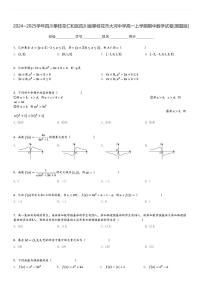 2024～2025学年四川攀枝花仁和区四川省攀枝花市大河中学高一上学期期中数学试卷[原题+解析版]