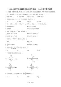 2024～2025学年新疆喀什地区莎车县高一（上）期中数学试卷（含答案）