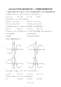 2024～2025学年度云南省昆明市高一上学期期中测试数学试卷（含答案）