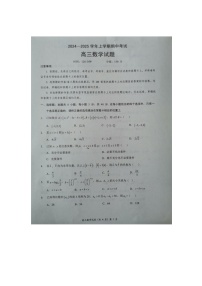 湖北省新高考联考协作体2024-2025学年高三上学期11月期中考试数学试题