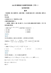 湖南省娄底市名校2024-2025学年高三上学期11月联考数学试卷（Word版附解析）