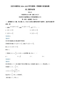 2025北京朝阳区高三上学期期中检测数学试卷含解析