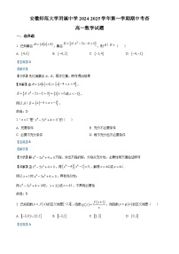 安徽省芜湖市师范大学附属中学2024-2025学年高一上学期11月期中数学试题（Word版附解析）