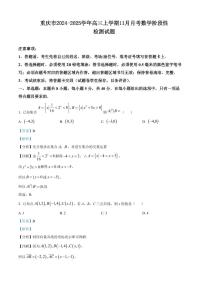 重庆市2024-2025学年高三上学期11月月考数学阶段性检测试题(含解析)