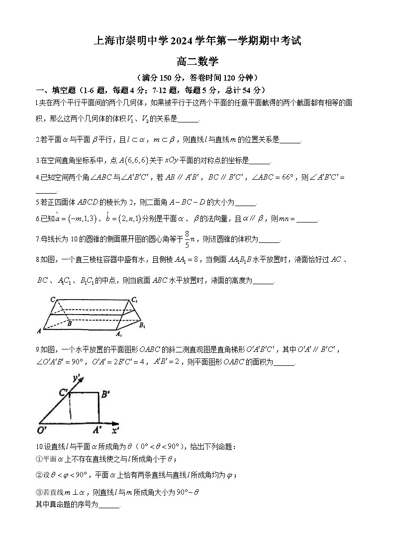 上海市崇明中学2024-2025学年高二上学期期中考试数学试卷(无答案)第1页