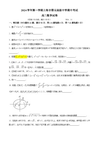 上海市晋元高级中学2024-2025学年高二上学期期中考试数学试卷(无答案)