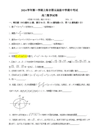 上海市晋元高级中学2024-2025学年高二上学期期中考试数学试卷(无答案)
