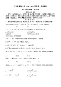 山东省实验中学2024-2025学年高二上学期11月期中考试数学试题