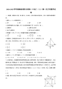 2024-2025学年湖南省邵阳市邵东一中高二（上）第一次月考数学试卷（含答案）