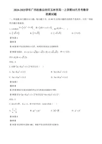 2024-2025学年广西壮族自治区玉林市高一上学期10月月考数学检测试题(含解析)