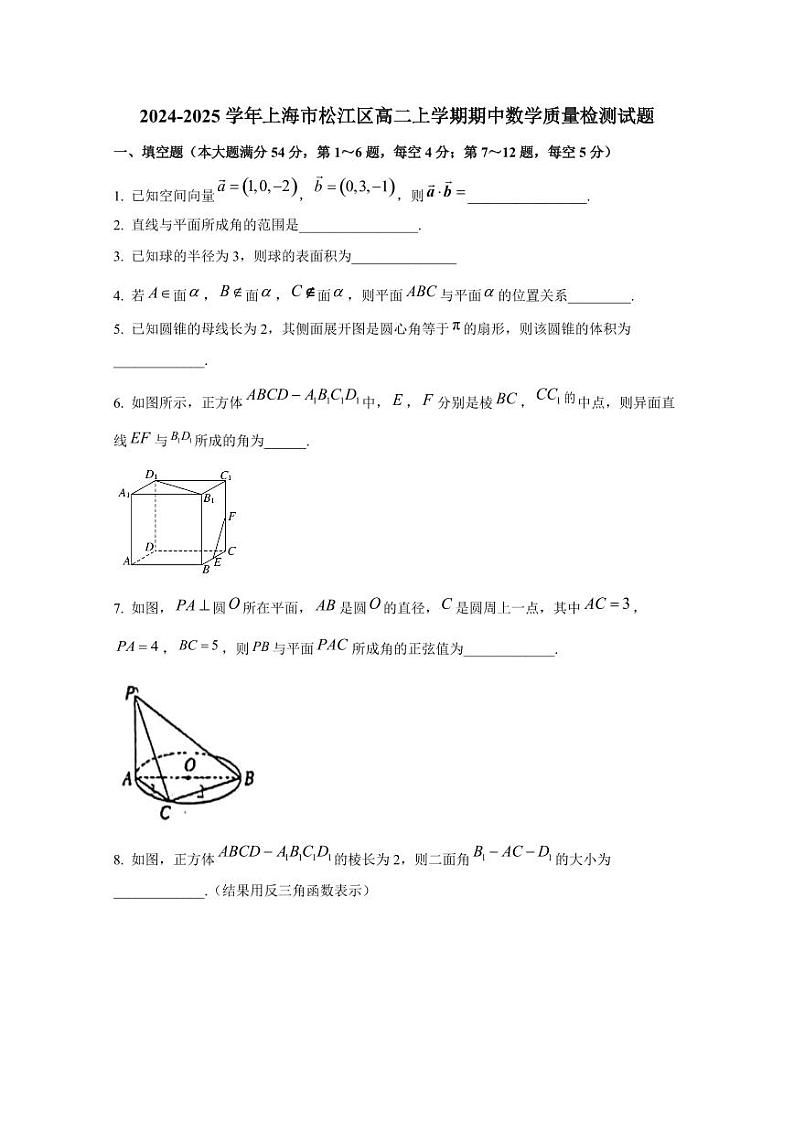 2024-2025学年上海市松江区高二上学期期中数学质量检测试题(含解析)第1页