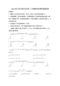 2024-2025学年新疆乌鲁木齐市高二上学期期中联考数学检测试卷(含解析)