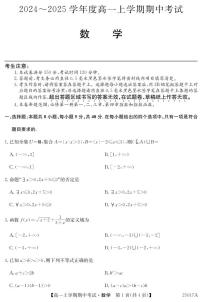 广东省深圳市深圳盟校期中联盟考试2024-2025学年高一上学期11月期中考试数学试题