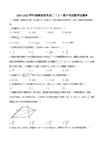 湖南省部分学校2024-2025学年高二上学期期中联考数学试卷（Word版附答案）