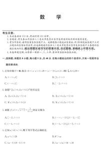 广东省深圳市盟校联盟2024-2025学年高一上学期11月期中考试数学试卷（PDF版附解析）