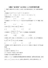 安徽省鼎尖教育联盟2025届高三上学期11月期中联考试题 数学试题(含答案)