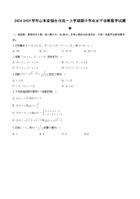山东省烟台市2024-2025学年高一上学期期中学业水平诊断数学试题