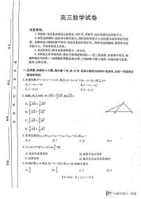 陕西省渭南市韩城市2024-2025学年高三上学期期中考试数学试题