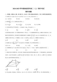 湖南省部分学校2024～2025学年高二(上)期中联考数学试卷(含答案)