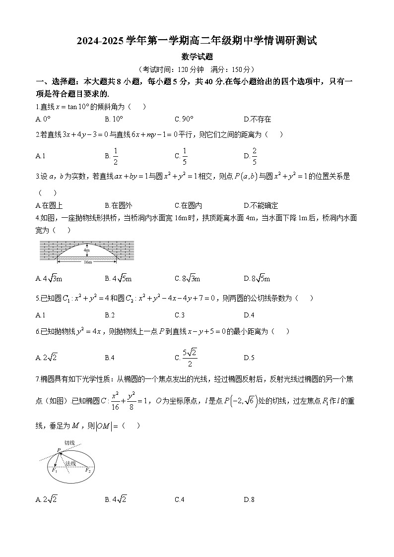 江苏省扬州市高邮市2024-2025学年高二上学期11月期中考试数学试题01