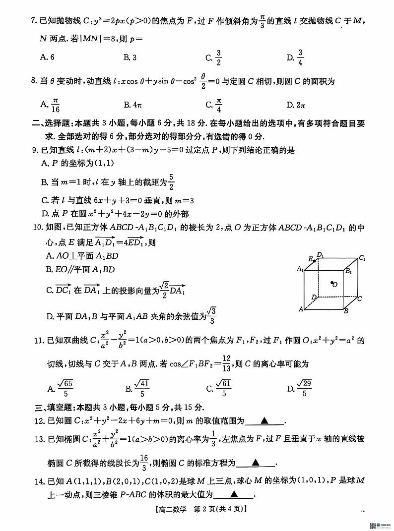 河北省沧州市沧衡名校联盟2024-2025学年高二上学期11月期中数学试题02