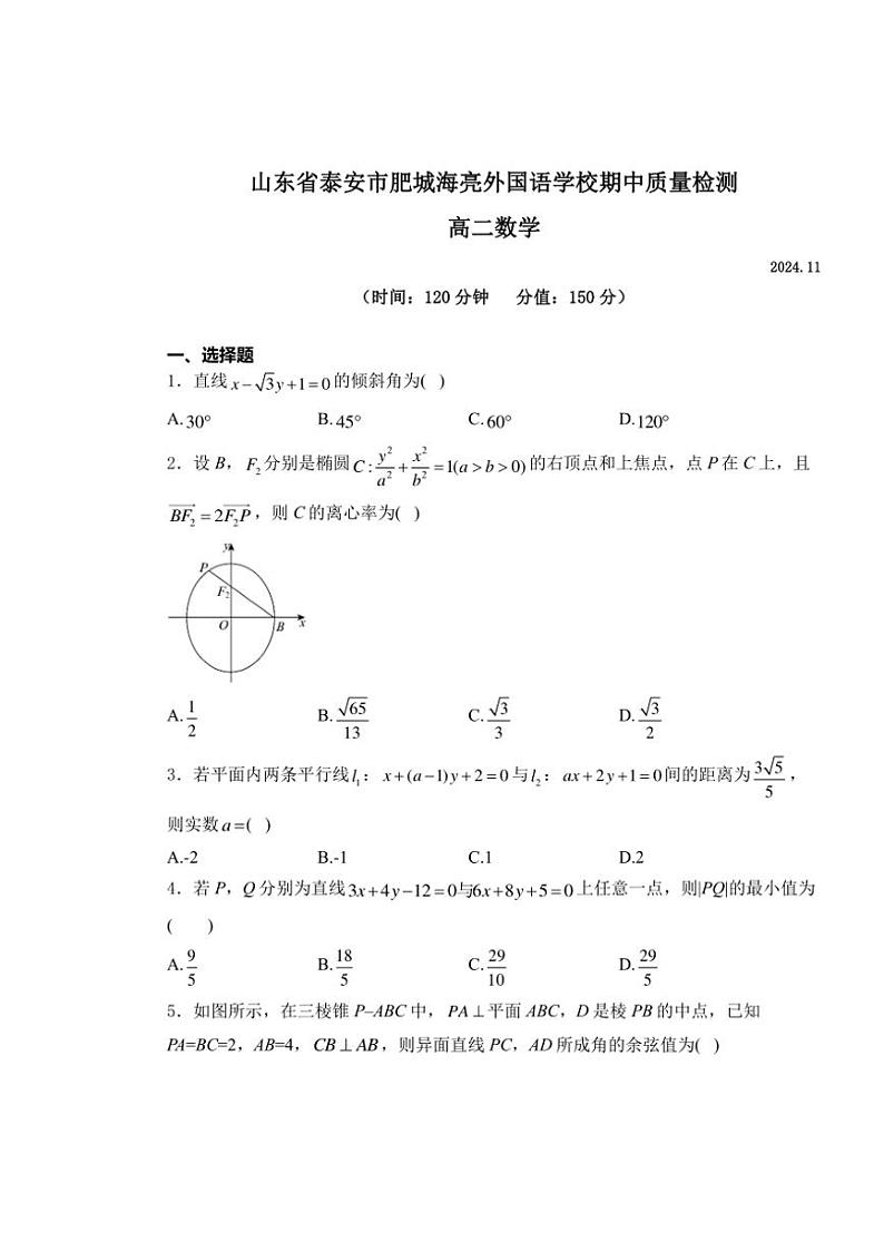 山东省泰安市肥城海亮外国语学校2024~2025学年高二(上)期中质量检测数学试卷(含解析)第1页