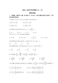 湖北省武汉市江岸区2024~2025学年高三(上)11月调考试卷数学(含答案)
