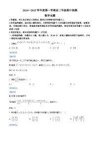 江苏省徐州市2024-2025学年高三上学期11月期中考试数学试卷（Word版附答案）