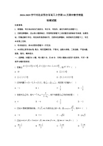 2024-2025学年河北省邢台市高三上学期11月期中数学质量检测试题