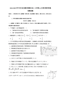 2024-2025学年四川省成都市郫都区高二上学期11月期中数学质量检测试题（含解析）