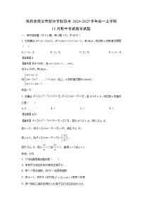 2024-2025学年陕西省西安市部分学校联考高一(上)11月期中数学试卷(解析版)