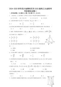 四川省攀枝花市大河中学校2024～2025学年高三九省联考考前模拟数学试卷一(含答案)
