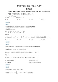 湖北省襄阳市第四中学2024-2025学年高一上学期11月期中考试数学试题（Word版附解析）