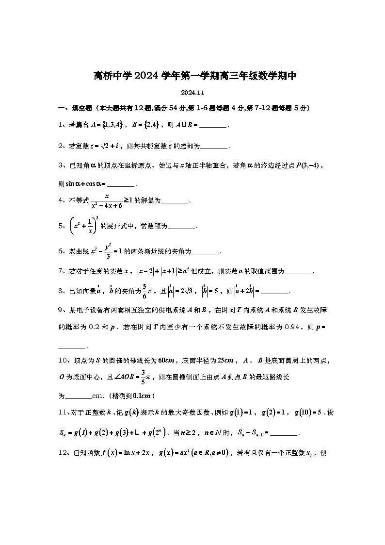 上海市高桥中学2024-2025学年高三上学期期中考试数学试卷第1页