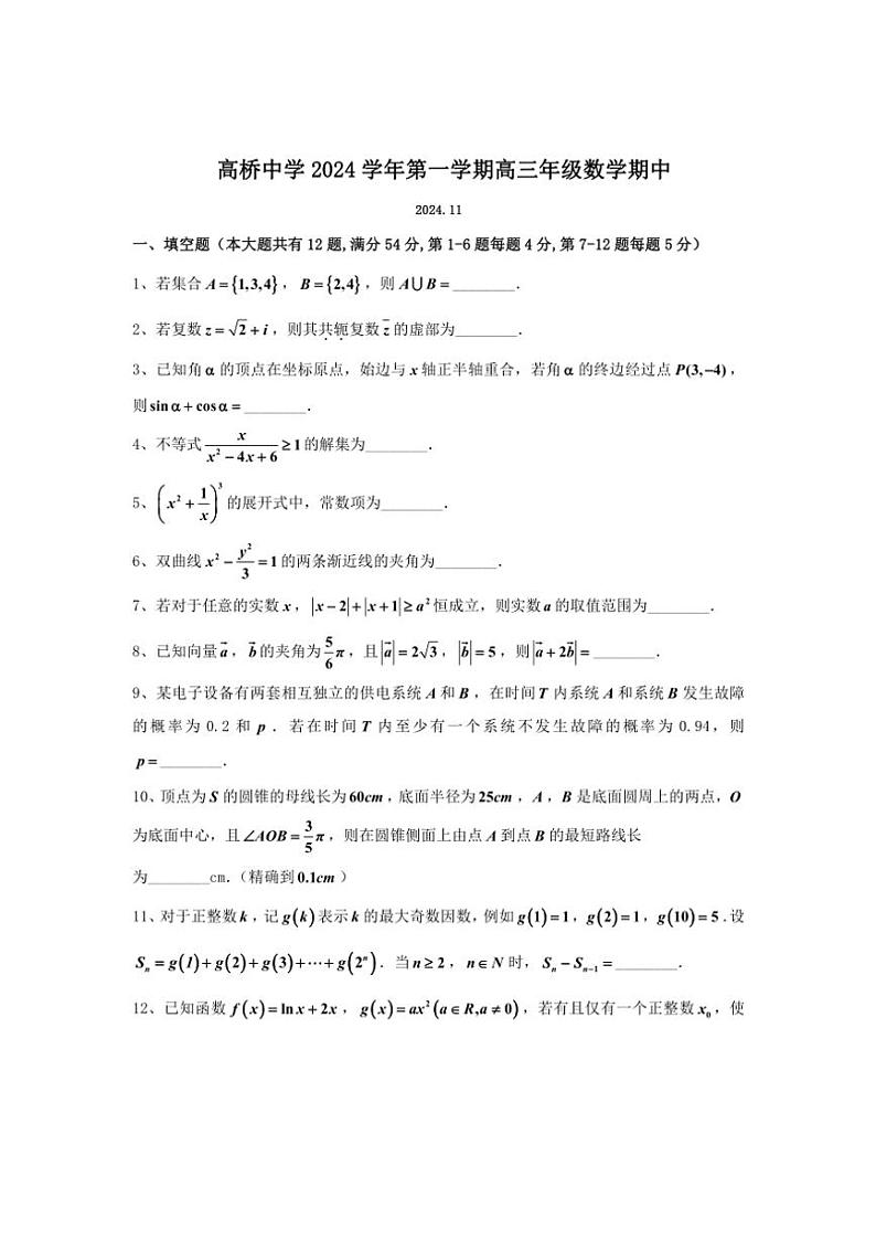 2024~2025学年上海市高桥中学高三(上)期中数学试卷(含答案)第1页