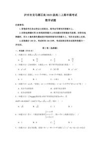 2024～2025学年四川省泸州市龙马潭区高二(上)期中数学试卷(含答案)