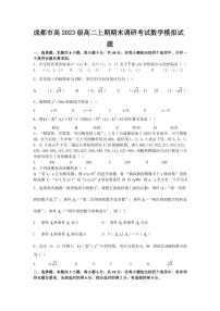 成都市高2024级高二上期期末模拟考试数学试卷(含解析)