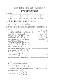 四川省宜宾市2025届高三第一次诊断性考试数学