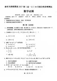 重庆市渝东九校联盟2024-2025学年高一上学期10月联合性诊断测试数学试题