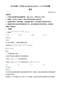 四川省内江市资中县第二中学2024-2025学年高一上学期11月期中考试数学试题 含解析