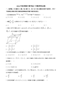 福建省泉州市永春第二中学等学校2024-2025学年高二上学期期中联考数学试题（原卷版）-A4