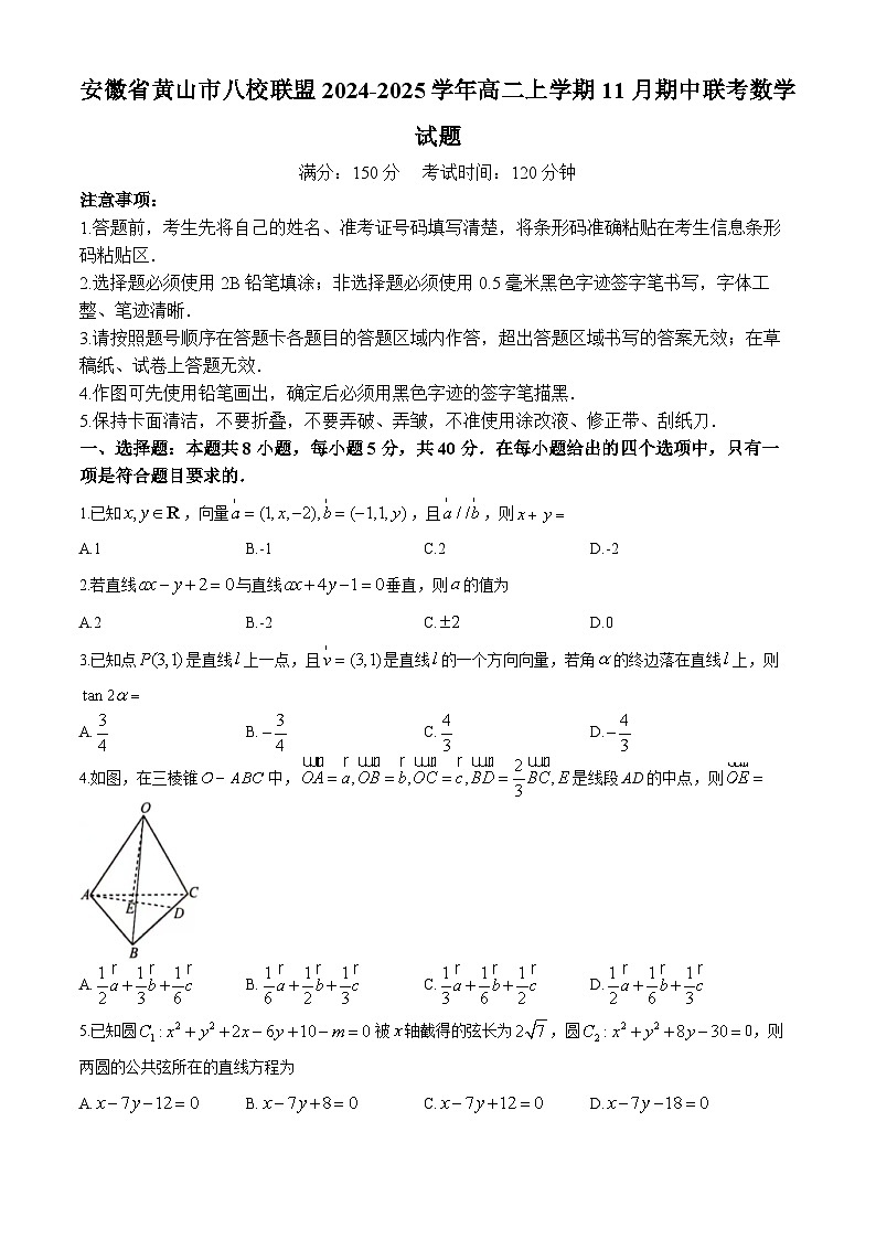 安徽省黄山市八校联盟2024-2025学年高二上学期11月期中联考数学试题第1页