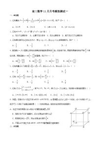 甘肃省民乐县第一中学2024-2025学年高三上学期11月月考模拟测试一数学试题